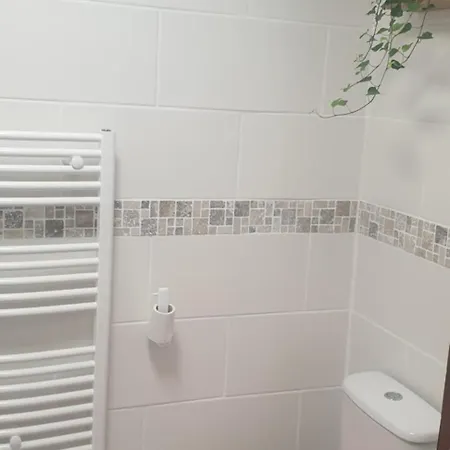 La Fermette Vosgienne De La Goutte Apartment Steige