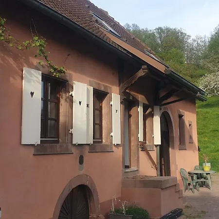 La Fermette Vosgienne De La Goutte Apartment *