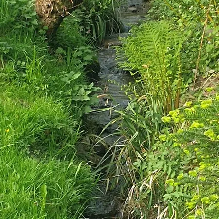 La Fermette Vosgienne De La Goutte Steige