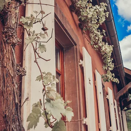 La Fermette Vosgienne De La Goutte *