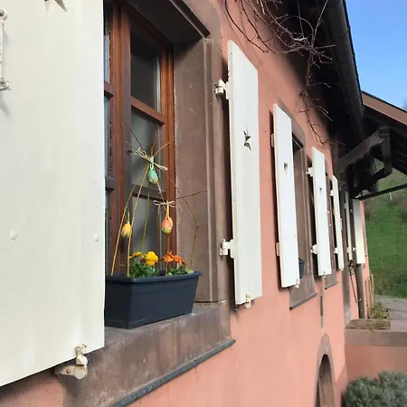 아파트 La Fermette Vosgienne De La Goutte Steige