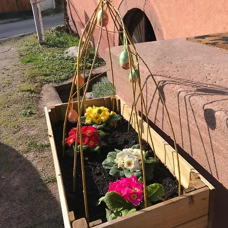 아파트 La Fermette Vosgienne De La Goutte Steige