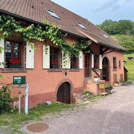 La Fermette Vosgienne De La Goutte Steige